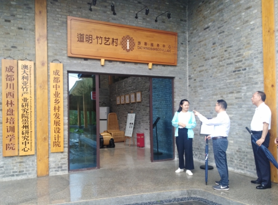 20199111615329678 集团辅导赴崇州市路明镇调查互换