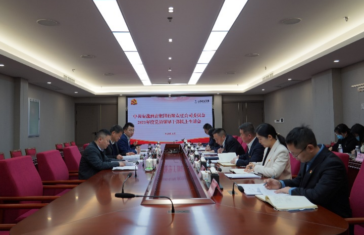k8凯发集团党委书记、董事长任丁出席安逸酒店集团2022年度党员辅导干部民主生涯会