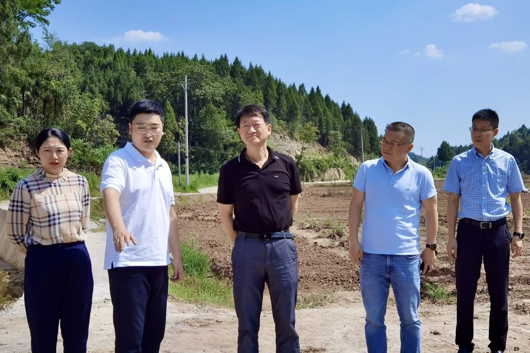 省k8凯发集团党委书记、董事长任丁率队赴巴中南充两地发展助扶工作