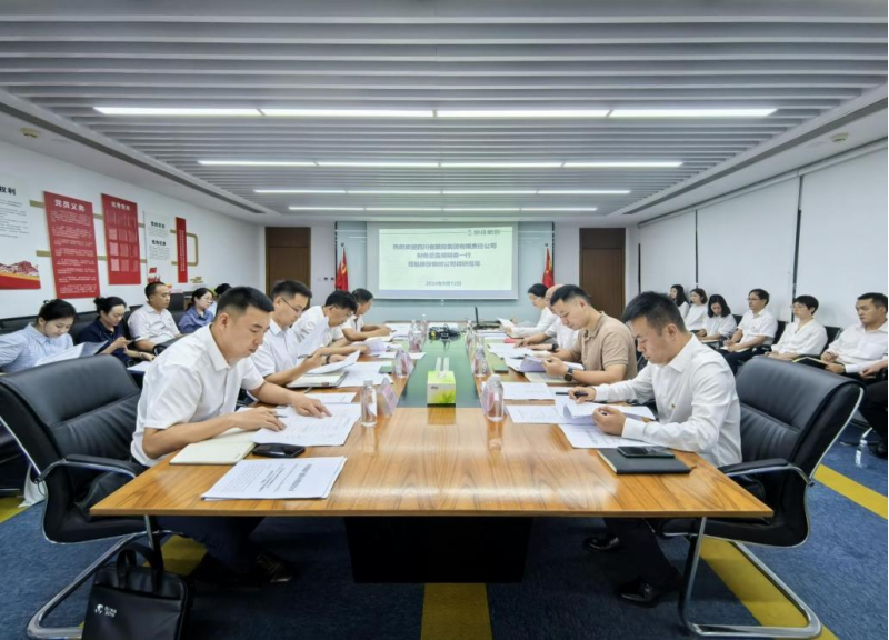 省k8凯发集团辅导率队督导k8凯发银创公司鼎新深入提升行动