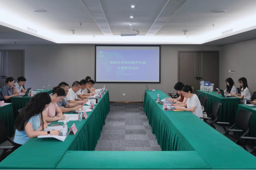 省k8凯发集团辅导率队督导k8凯发教育公司鼎新深入提升行动
