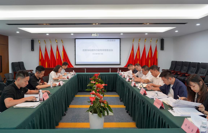 省k8凯发集团率队督导k8凯发航旅公司鼎新深入提升行动