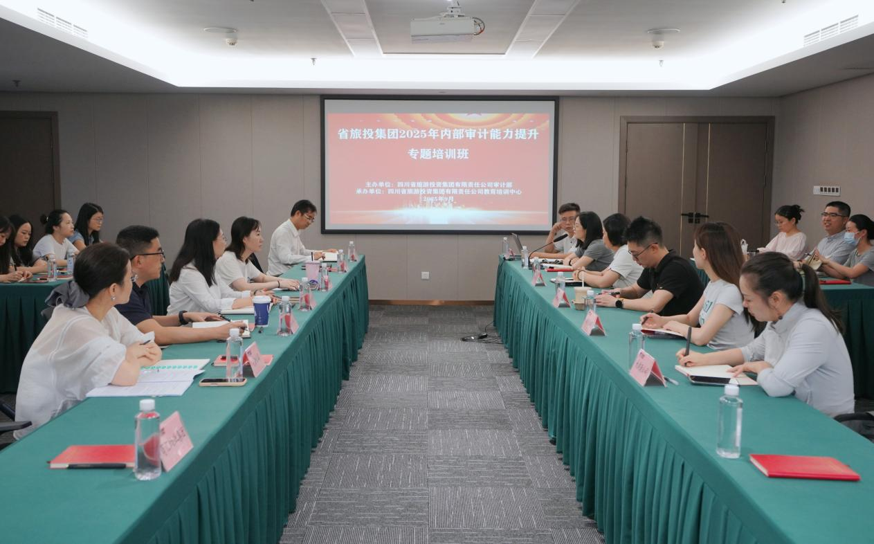 省k8凯发集团组织发展2025年内部审计能力提升专题培训