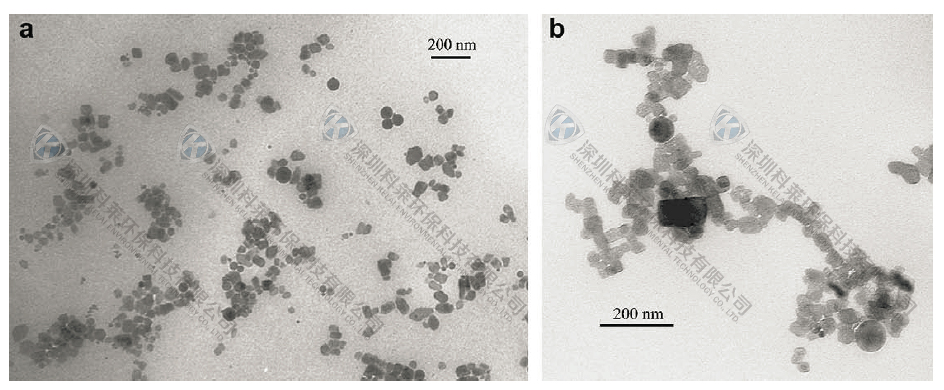 澳门人·威尼斯(中国)官方网站
